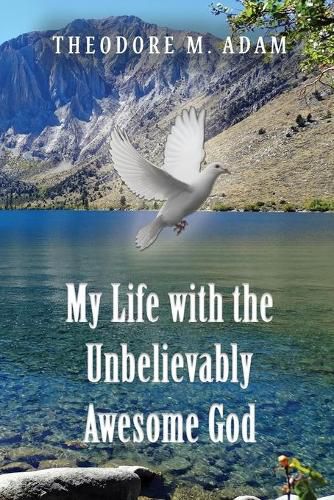 Cover image for My Life with the Unbelievably Awesome God