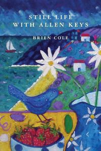 Cover image for Still Life with Allen Keys