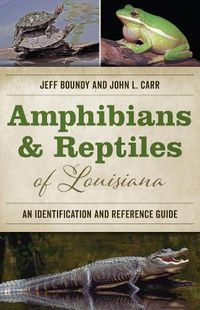 Cover image for Amphibians and Reptiles of Louisiana: An Identification and Reference Guide