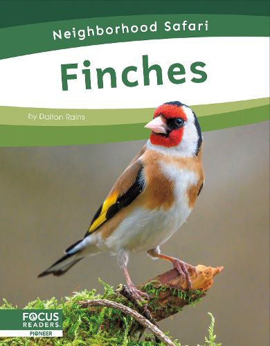 Cover image for Finches