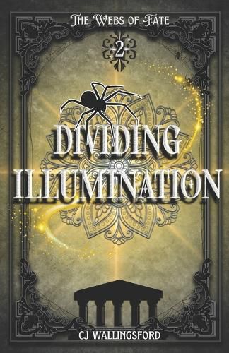 Cover image for Dividing Illumination