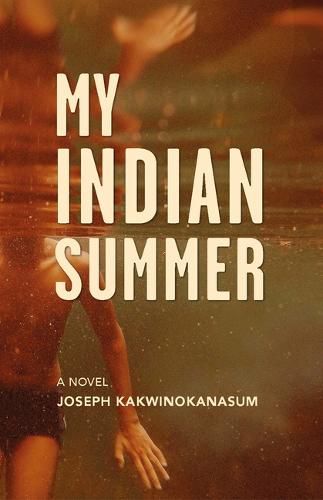 Cover image for My Indian Summer