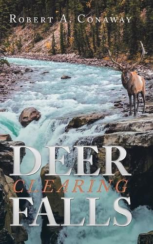 Cover image for Deer Clearing Falls