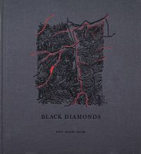 Cover image for Black Diamonds