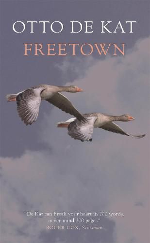 Cover image for Freetown