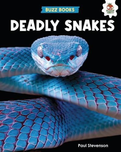 Cover image for Deadly Snakes