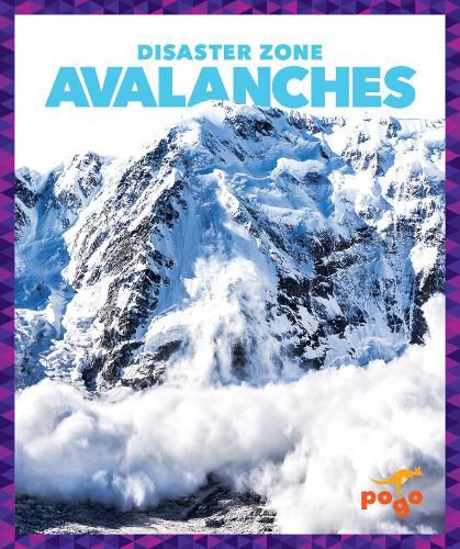 Cover image for Avalanches