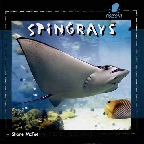 Cover image for Stingrays