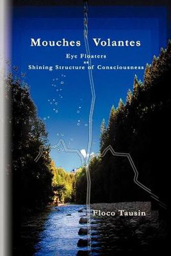 Cover image for Mouches Volantes - Eye Floaters as Shining Structure of Consciousness