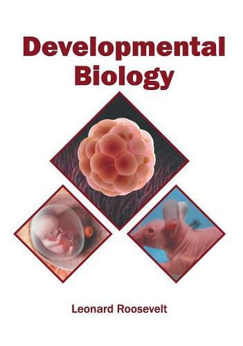 Cover image for Developmental Biology