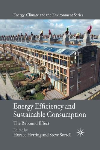 Cover image for Energy Efficiency and Sustainable Consumption: The Rebound Effect