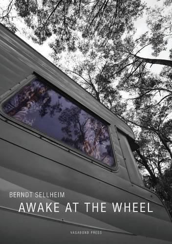 Cover image for Awake at the Wheel