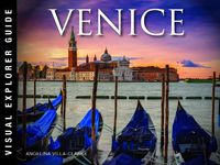 Cover image for Venice