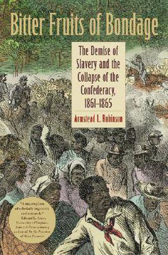Cover image for Bitter Fruits of Bondage: The Demise of Slavery and the Collapse of the Confederacy, 1861-1865