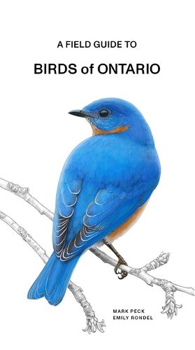 Cover image for A Field Guide to Birds of Ontario