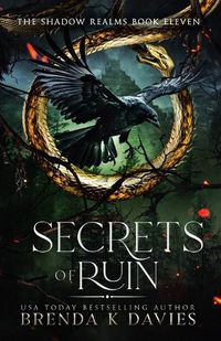 Cover image for Secrets of Ruin