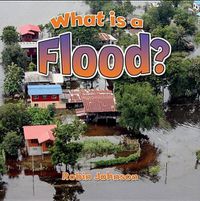 Cover image for What Is a Flood?