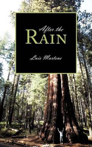 Cover image for After the Rain