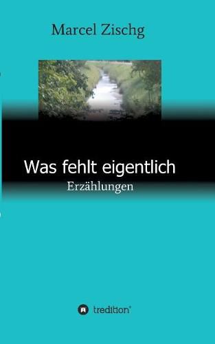 Cover image for Was fehlt eigentlich: Erzahlungen
