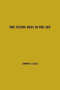 Cover image for The Flying Boys in the Sky: Volume One