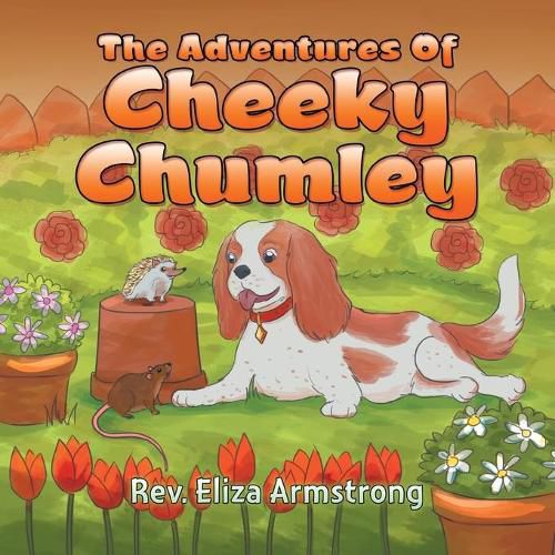 Cover image for The Adventures of Cheeky Chumley