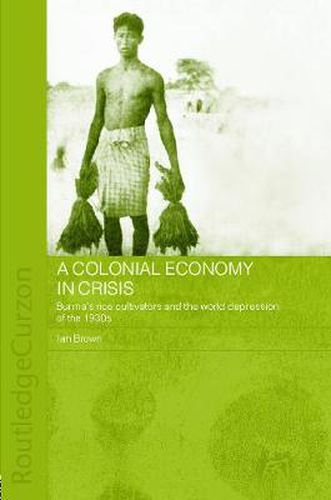 Cover image for A Colonial Economy in Crisis: Burma's Rice Cultivators and the World Depression of the 1930s