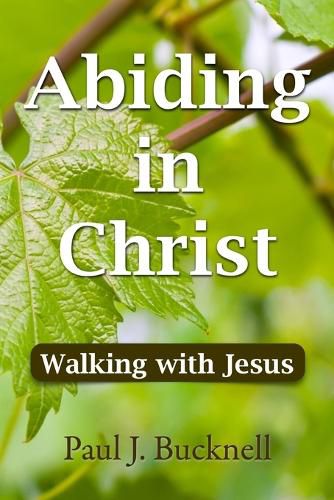 Cover image for Abiding in Christ