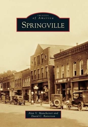 Cover image for Springville