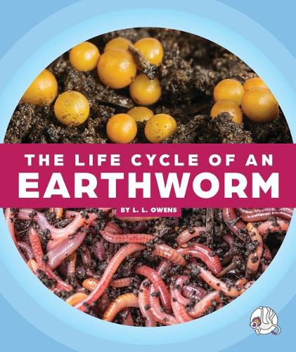 Cover image for The Life Cycle of an Earthworm