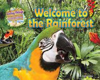 Cover image for Welcome to the Rainforest