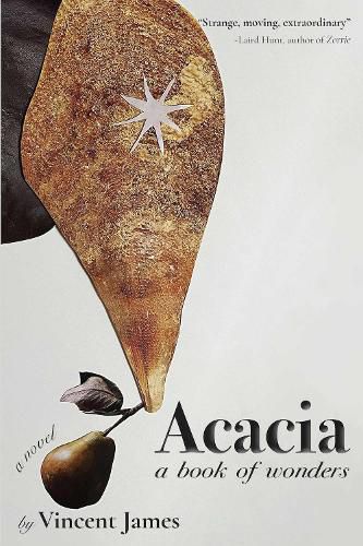 Cover image for Acacia, a Book of Wonders