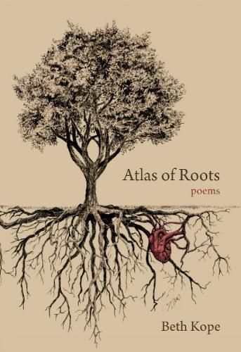 Cover image for Atlas of Roots