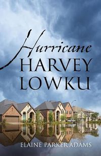 Cover image for Hurricane Harvey Lowku