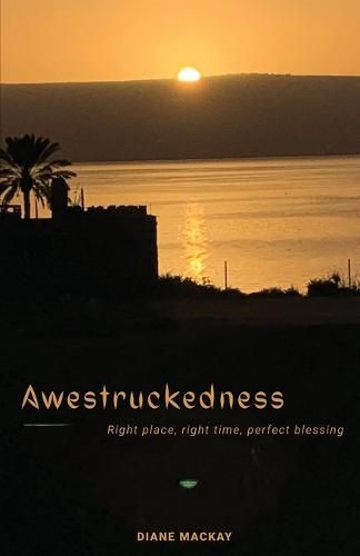 Cover image for Awestruckedness