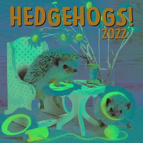 Cover image for Hedgehogs 2022 Wall Calendar