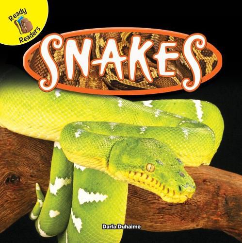 Cover image for Snakes