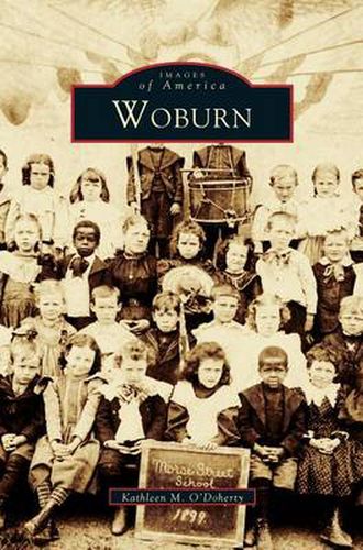Cover image for Woburn
