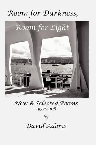 Cover image for Room for Darkness, Room for Light