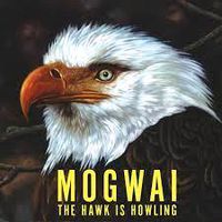 Cover image for The Hawk Is Howling  