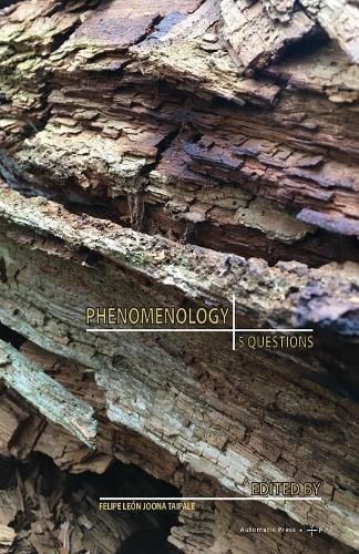 Cover image for Phenomenology: 5 Questions