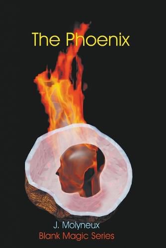 Cover image for The Phoenix