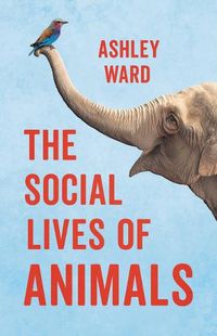 Cover image for The Social Lives of Animals