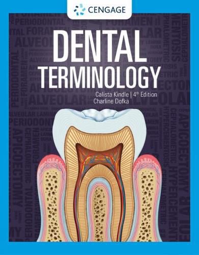 Cover image for Dental Terminology