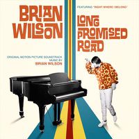 Cover image for Long Promised Road
