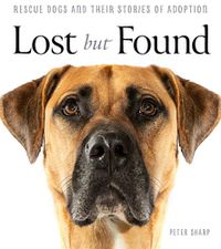 Cover image for Lost But Found