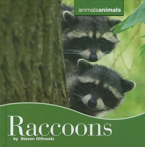 Raccoons