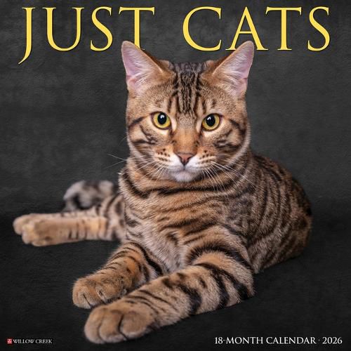 Cover image for Cats 2026 Wall Calendar