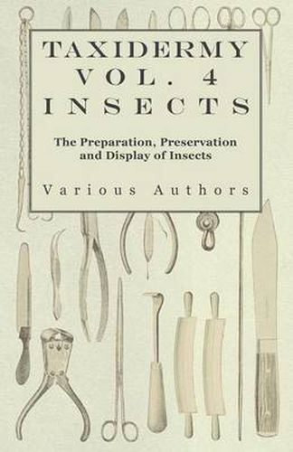 Cover image for Taxidermy Vol.4 Insects - The Preparation, Preservation and Display of Insects