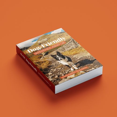 Cover image for Dog Friendly Weekends Away UK Guide Book - Unforgettable Dog Friendly Getaways