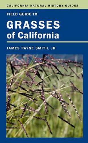 Cover image for Field Guide to Grasses of California